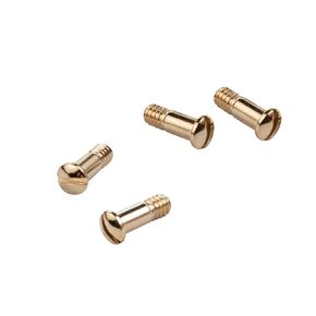 Replacement Screws for RayBan Wayfarer RB2132 RB4165 RB4371 Sunglasses Repair Kit (Set of 4),Screwdriver (Silver)