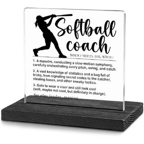 Volunteer Gifts, Volunteer Definition Desk Decor, Volunteer Thank You Gift, Volunteer Appreciation Gifts for Women, Men, Volunteer Office Decorative Signs Plaques WDE16