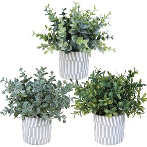 Winlyn 3 Pcs Artificial Eucalyptus Boxwood Plants in Grey Textured Cylinder Concrete Planter Pots Small Potted Plants Faux Greenery Decorations for Modern Farmhouse Home Office Bookshelf Tabletop