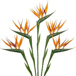 Fake Bird of Paradise Flowers, 26" Tropical Hawaiian Flowers Artificial, Long Stem Artificial Flowers for Tall Vase, Houseplant Decors Livingroom, Kitchen, Bedroom(5 Pcs)