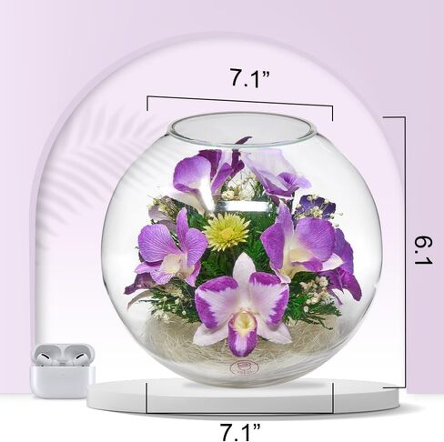 Premium Fresh Cut Preserved Orchid Bouquet in a Sealed Glass Vase | Long Lasting Bouquet Orchids Stays Fresh for 5+ Years | No Water Needed | Allergy Free | Unique Orchid Gifts for Women in Saudi Arabia