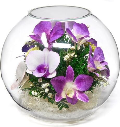 Premium Fresh Cut Preserved Orchid Bouquet in a Sealed Glass Vase | Long Lasting Bouquet Orchids Stays Fresh for 5+ Years | No Water Needed | Allergy Free | Unique Orchid Gifts for Women in Saudi Arabia