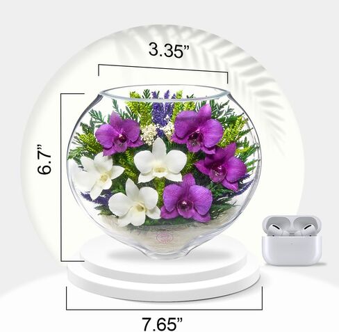 Premium Fresh Cut Preserved Orchid Bouquet in a Sealed Glass Vase | Long Lasting Bouquet Orchids Stays Fresh for 5+ Years | No Water Needed | Allergy Free | Unique Orchid Gifts for Women in Saudi Arabia