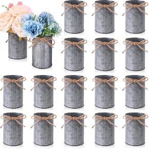 16 Pcs High Farmhouse Vase Decor 4.33" Metal Flower Vases Iron Rustic Vases with Twine Small Vases Bulk Centerpieces Vases for Table Weddings Home Office Decoration Flower Arrangement (Iron)