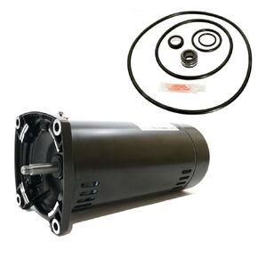 Puri Tech Replacement Motor Kit for Sta-Rite Dura-Glas 1.5HP P4RA6F-187L AO Smith USQ1152 with GO-KIT-38