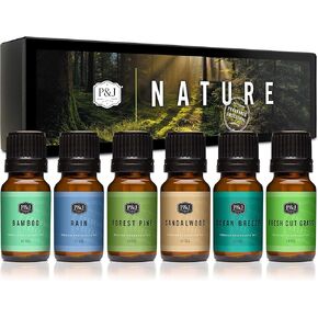 P&J Trading - Woodland Set of Scented Oils - Cedar, Warm Rustic Woods, Moss, Redwood Forest, Mountain Air, Evergreen Forest Fragrance Oils for Candle Making, Soap Making, Diffuser Oils in Saudi Arabia