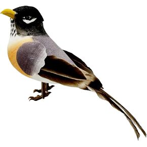 LWINGFLYER American Yellow Goldfinch Realistic Artificial Birds Ornaments Feathered Bird Model for Decoration Arts & Crafts Photo Props Floral Arrangements Home Decor Figurines