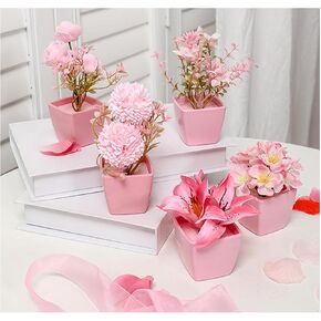 5 Pcs Pink Simulated Flowers Indoor with Pot, Mini Potted Plants for House Office Tabletop Decoration, Small Artificial Plants Arrangement Outdoor Decoration (B)