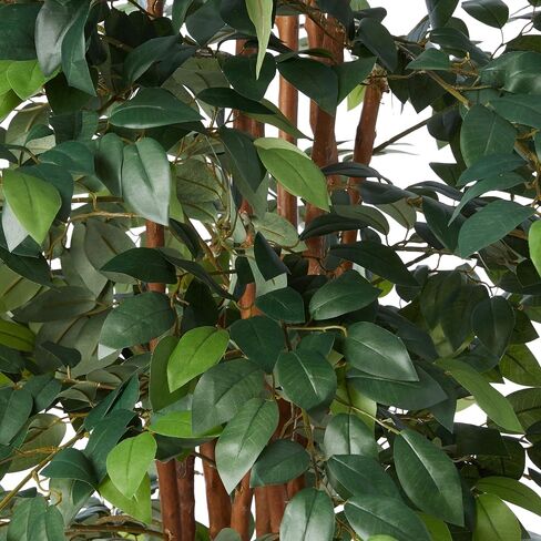 Nearly Natural 7ft. Sakaki Artificial Tree in Saudi Arabia