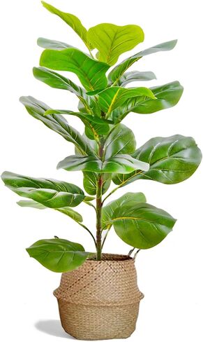 31" Tall Artificial Fiddle Leaf Fig Tree Faux Ficus Lyrata for Indoor Outdoor Office Home Shop Farmhouse Decor (31 inch) in Saudi Arabia