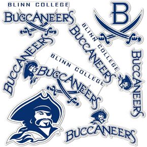 Desert Cactus Blinn College Stickers Buccaneers Vinyl Decals Laptop Water Bottle Car Scrapbook 13.46x10.91 Sheet T2 (Type 2)