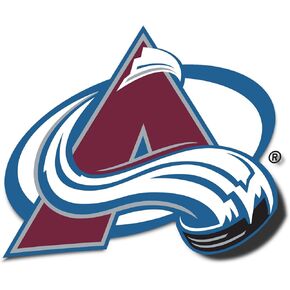 Desert Cactus Colorado Avalanche Sticker NHL Team National Hockey League Vinyl Decal Laptop Water Bottle Car Scrapbook (Individual A)