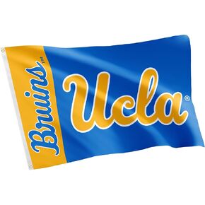 Desert Cactus UCLA Flag University of California Los Angeles Bruins Flag Banners 100% Polyester Indoor Outdoor 3x5 feet Flags (Team Name)