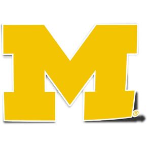 Desert Cactus University of Michigan Sticker Wolverines Blue Hail Vinyl Decal Laptop Water Bottle Car Scrapbook (IND 1)