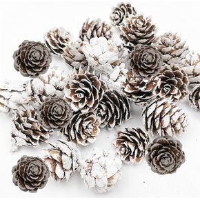 160 PCS Mini Snow Pine Cones Christmas Pine Cones Thanksgiving Pine Cones Bulk White Christmas Small Tiny Pinecones Ornaments for Home Decoration DIY Crafts Wedding Xmas Tree Fall Winter Decor