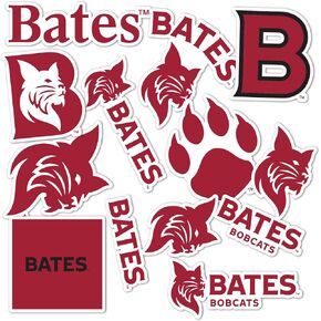 Desert Cactus Bates College Sticker Bobcats Stickers Vinyl Decals Laptop Water Bottle Car Scrapbook 13.43x10.98 Sheet T2 (Type 2)