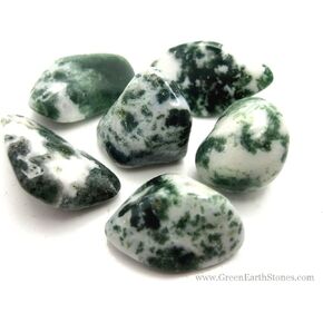 Pachamama Essentials Tree Agate Tumbled - Healing Stone - Crystal Healing 20-25mm (5)