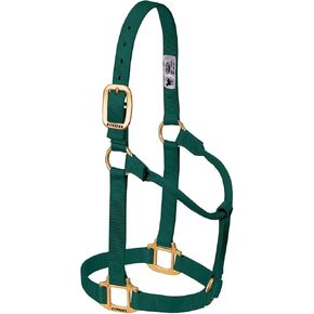 Weaver Leather Original Non-Adjustable Nylon Horse Halter, Small, Hunter Green