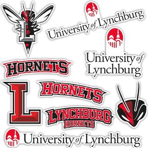 Desert Cactus University of Lynchburg Stickers Hornets Vinyl Decals Laptop Water Bottle Car Scrapbook 13.43x10.98 Sheet T2 (Type 2)