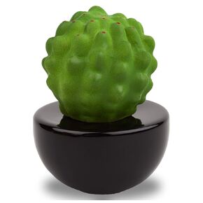 Frank Cactus, Non-Electric Ceramic Diffusers for Essential Oils and Aromatherapy Fragrance, White Ceramic Diffusers in Car or Desk Office Decor and Small Bathroom at Home, Black vase