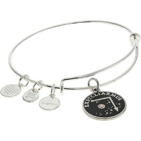Alex and Ani AS615522Expandable Bangle BraceletSS,Harry Potter, Expelliarmus Expandable Bangle Bracelet,Shiny Silver,Black, Bracelets