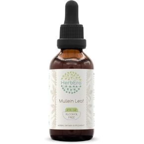 Mullein Leaf B120 Alcohol-Free Herbal Extract Tincture, Super-Concentrated Mullein (Verbascum Densiflorum) Dried Leaf (4 fl oz)