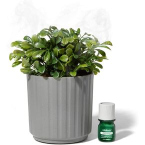 Lifelines Plant Diffuser - Featuring Cascading Mist & Aromas - Modern Planter Aromatherapy Diffuser - Faux Plant Diffuser - 100% Pure Essential Oils & Sustainably Sourced Botanicals - Natural - Leafy