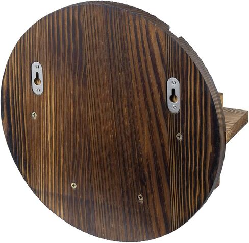 MyGift 2 Tier Rustic Burnt Wood Sports Championship Ring Holder with Baseball Cutout Backing, Wall Mounted Collectible Rings Jewelry Storage Display with 12 Pegs in Saudi Arabia