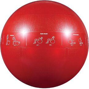 Gofit GF65PRO GF-65PRO Professional Stability 65 Cm Ball And Brook Benten DVD, Red