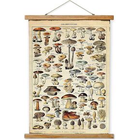 Ovfovy Vintage Mushroom Poster with Wooden Frame - Retro Style of Botanical Wall Art Painting - Illustrative Reference Chart Poster for Living Room Office, Classroom Decor 16 x 23 inches
