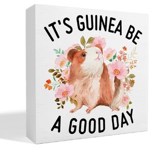 Guinea Pigs Decor Wooden Box Sign, Funny Guinea Desk Decoration for Home, Guinea Lover Owner Gifts for Kids Girls Women Men Guinea Mom Guinea Dad, It's Guinea