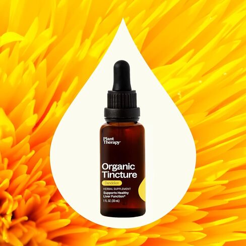 Plant Therapy Organic Lemon Balm Herbal Supplement Tincture 30 mL (1 oz) Encourages Emotional Balance, Helps Soothe Digestive Discomfort, Vegan, Non GMO, Gluten Free, Liquid, 1 Bottle in Saudi Arabia