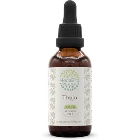 Thuja B60 Alcohol-Free Herbal Extract Tincture, Concentrated Liquid Drops Natural Thuja (Thuja plicata) (2 fl oz)