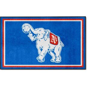 FANMATS NFL Men,Unisex-Adult,Women Putting Green Mat