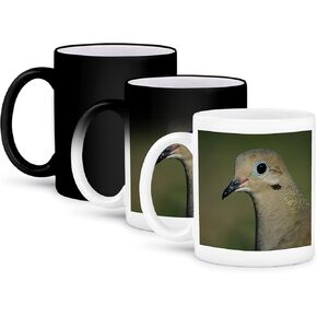 3dRose mug_84308_3 Mourning Dove, Bird, Rio Grande Valley, Texas Na02 Rnu0194 Rolf Nussbaumer Magic Transforming Mug, 11-Ounce