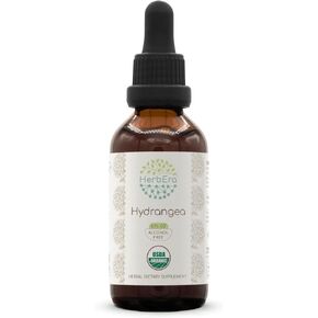 Hydrangea B60 USDA Organic Tincture | Alcohol-Free Extract, High-Potency Herbal Drops | Certified Organic Hydrangea (Hydrangea arborescens) Dried Root (2 oz)