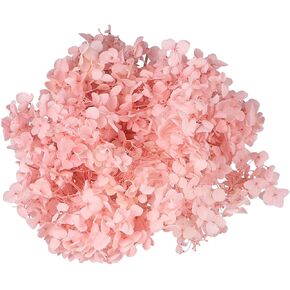 Amosfun 1 Pack Decoration Dried Hydrangea Flowers for Wedding Petals for Wedding Silk Flower Petals DIY Petal Dried Petal Dried Flowers Nail Supplies Preserved Flowers White