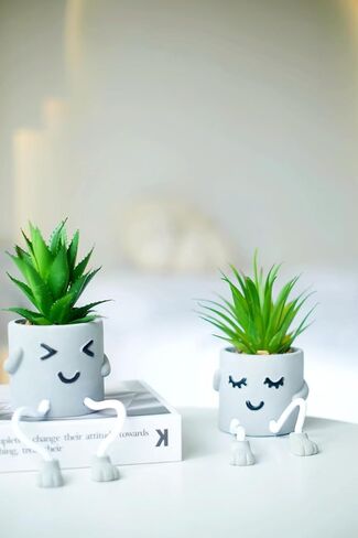 2 pcs Small Artificial Succulent Plants in Cement Pot with Hanging Legs, Mini Fake Plants Potted Succulents with Emotional Cement Pots, Faux Succulent for Home Decor, Office, Bathroom, Shelf in Saudi Arabia