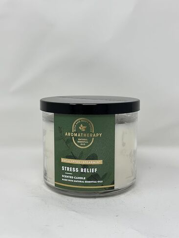 Aromatherapy Eucalyptus + Spearmint 3 Wick Candle 14.5 oz / 411 g [Made with Natural Essential Oil] in Saudi Arabia