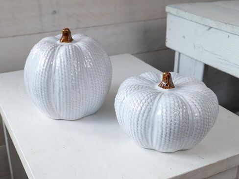 One Holiday Way Elegant Set of 2 Decorative Ceramic Knit White Faux Pumpkin Figurines - Rustic Fall Tabletop Decorations - Autumn Country Farmhouse Harvest Home Decor in Saudi Arabia