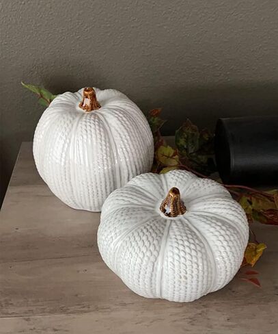 One Holiday Way Elegant Set of 2 Decorative Ceramic Knit White Faux Pumpkin Figurines - Rustic Fall Tabletop Decorations - Autumn Country Farmhouse Harvest Home Decor in Saudi Arabia