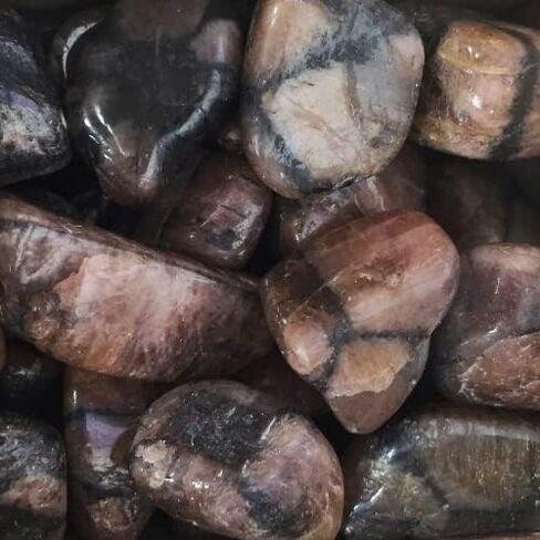Chiastolite Tumbled Stone - Andalusite Tumbled Stone - Spiritual Stone - 15-25mm (1) in Saudi Arabia