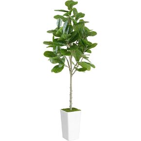 Artificial Fiddle Leaf Fig Plant 6ft - Realistic Tall Fake Plants for Office, Home, Living Room, Bedroom Decor, Indoor, Outdoor - Green Large Faux Floor Trees with Planter