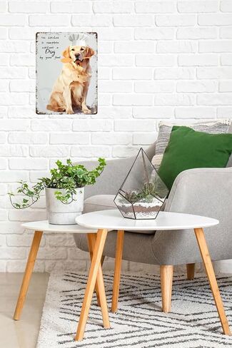 طباعة فنية للمطبخ من Golden Retriever، علامة قصدير إبداعية، علامة معدنية مبتكرة مضحكة، ديكور جدار عتيق للمنزل، باب الحديقة، البار، المطعم، المقهى، المكتب، المتجر، البار، علامة النادي، هدية 12x8 بوصة (484) in Saudi Arabia