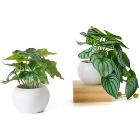 3 Packs Small Fake Plants Artificial Plants in Ceramic Pot for Home Bedroom Living Room Bathroom Office Decor Indoor