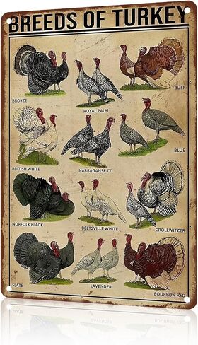 Pumpkin Metal Tin Sign Thanksgiving Day Sign Vintage Fall Decor Pumpkin Art Vintage Tin Sign Pumpkin Artwork Pumpkins Autumn Metal Poster Thanksgiving Day Halloween Wall Art 8x12 inch in Saudi Arabia