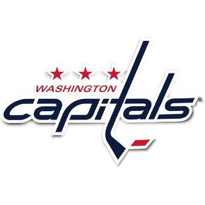 Desert Cactus Washington Capitals Sticker NHL Team National Hockey League Vinyl Decal Laptop Water Bottle Car Scrapbook (Individual A)