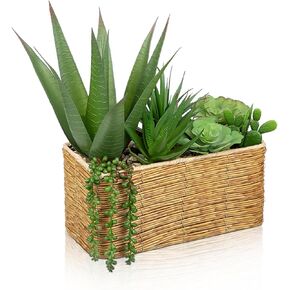 Hollyone Artificial Succulent Plant Arrangement Centerpiece Assorted Fake Snake Succulents in Rectangular Woven Basket 10" Faux Potted Succulents for Indoor Home Office Table Windowsill Shelf Decor