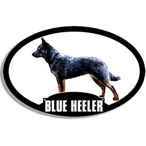 Oval Blue Heeler Sticker (Love My ACD Australian Dog Cattle Breed Vinyl Decal (3 x 5 inch)