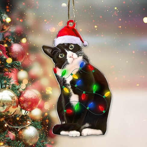 Tuxedo Cat Ornament - Black and White Cat Christmas - Bicolor Xmas Ornaments - Tuxedo Christmas Tree Hanging Ornament (Tuxedo Cat What) in Saudi Arabia